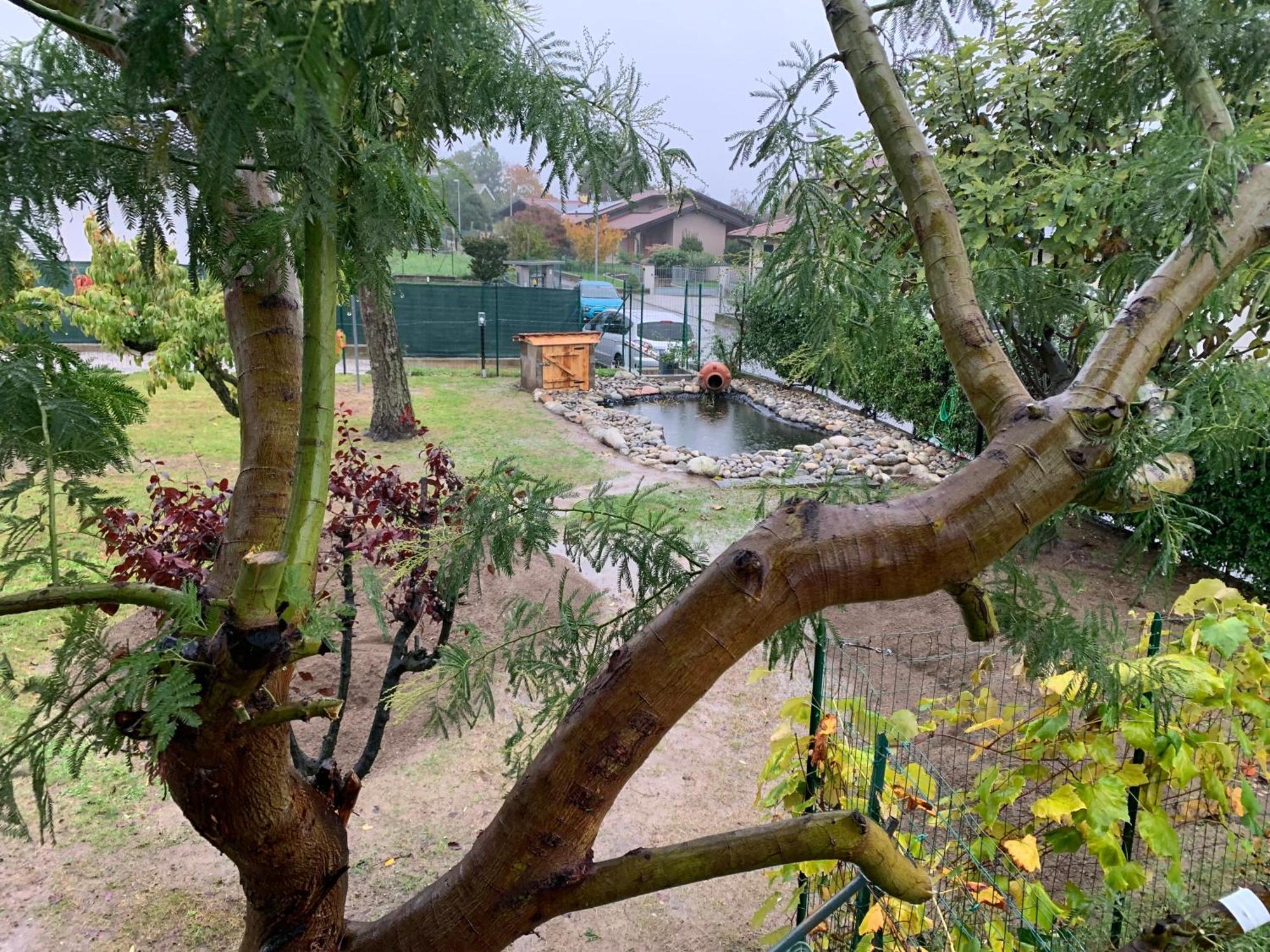 Villa Guardia Bed & Breakfast Indi Thelar מראה חיצוני תמונה